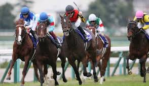 安田記念2021の傾向と対策、出走予定登録馬を見ていきたいと思います。 ◎グランアレグリア、サリオス、△インディチャンプ、△シュネルマイスター、ケ…（ 11r鳴尾記念 3歳上giii 2000m 予想. Https Xn 6jwp9bq1vcjvlek Com Yasudakinen2021data Analysis