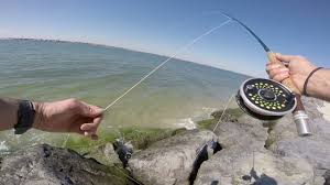 Rainbow trout stocked each fall and winter. Jones Beach Winter Is Over Early Fly Fishing Scouting Expedition Youtube