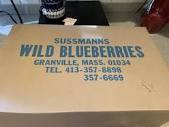 Sussmann's Wild Blueberries, 44 North Ln, Granville, MA - MapQuest