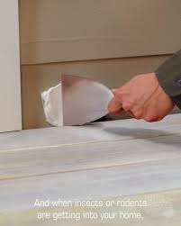 In these traps, the rodent can get in but cannot get out. Flex Seal Use Flex Paste To Seal Up Large Holes Facebook