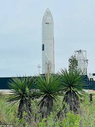 Sn15 open data including seventeen schools, eight dentists, three gps, two hospitals, twelve mot test centres, three parliamentary constituencies, fifteen electoral wards, three nuts codes. Zzhzsjylizekmm