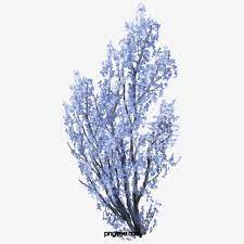 Flor Azul Planta Galho De Arvore Png Azul Flor Plantar Imagem Png E Psd Para Download Gratuito