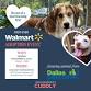 CUDDLY Walmart Adoption Event event in Grand Prairie, TX