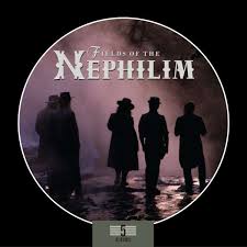 Die erste ep burning the fields wird ursprünglich auf 500 kopien begrenzt, muss aber schnell neu aufgelegt werden. Fields Of The Nephilim 5 Albums Box Set 5 Cds Jpc