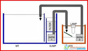 Membuat Filter Akuarium Air Laut Yang Mudah Akvodecor Akuarium Lautan Aquarium