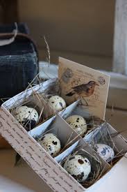 quail eggs egg packaging quail eggs egg logo