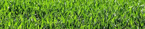Products New - Grass Tech