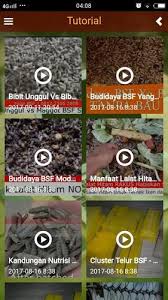 Disini pakdosen membahas secara rinci tentang proses tahapan Budidaya Bsf Modern Tanpa Bau Maggot Bsf Apk 1 0 Download For Android Download Budidaya Bsf Modern Tanpa Bau Maggot Bsf Apk Latest Version Apkfab Com