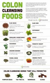 Colon Cleansing Chart Colon Cleansing Foods Healing Food Cleanse Recipes