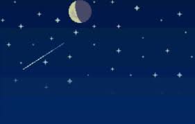 Pin On Animal Crossing Wild World