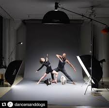And, of course, your guests will need some elbow room. Wedding Photography Happy And Relaxed Concept Indoor Wedding Photography Light Studio Photography Lighting Studio Lighting Setups Photography Lighting Setup