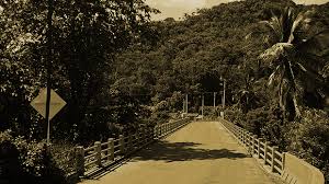 No Se Por Que Ocurrio La Masacre De La Horqueta Verdadabierta Com