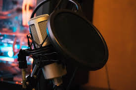 Please read through all of the guidelines so you're ready! Best Voice Over Casting Director In Chicago Sound And Fury Casting