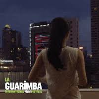 You can choose the most popular free out the window gifs to your phone or. Looking Out The Window Gifs Get The Best Gif On Giphy