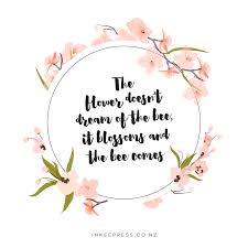 Read on these beautiful flower quotes to find out how they uplift everyone's spirit, they i wish i were a bee, so i can make use of every flower's beauty. The Flower Doesnt Dream Of The Bee It Blossoms And The Bee Comes Www Inkeepress Co Nz Blossom Quotes Bee Quotes Flower Quotes