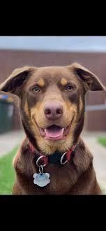 Great photographe!! ❤️❤️