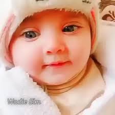 Reel by Javed Anwer Khan Afghan (@javed_anwer_khan_afghan) · January 24,  2026