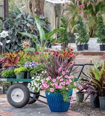 Peaceful and relaxing, just a couple of words to describe the feel of plant nursery. Tower Hill Nursery And Mims Landscaping Ocala Style Magazine