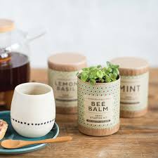 Instant quality results at searchandshopping.org! 20 Thoughtful Gifts For Tea Lovers Tea Gifts For Every Budget