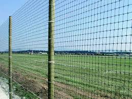 Gazing at deer foraging in green spaces is a delight to watch here, you will find out what you need to do to protect your garden from deer and keep them away, how high deer fencing or deer netting should be used and what other methods are recommended by the scientists. 1 8m Deer Control Fencing Mesh 6ft Plastic Fence Netting 50mm Holes