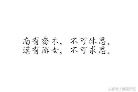 Image result for 南有乔木 不可休思