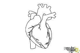 Affordable and search from millions of royalty free images, photos and vectors. Heart Drawing Easy Realistic Novocom Top