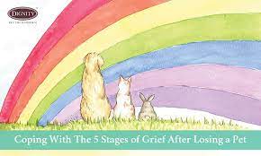 Losing a pet can be devastating. Coping With The 5 Stages Of Grief After Losing A Pet
