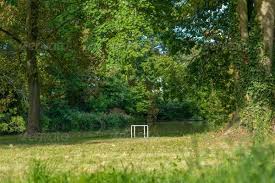 Often textures you find in the internet are way too small for really close up work. Mw3dhdr0031 Nature Hdri Scene In A German Park Scene Worms Germany Rhineland