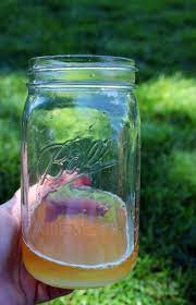 Goodbye House Flies Easy Diy Fly Trap Homemade Version Diy Fly Trap Homemade Fly Traps House Fly Traps