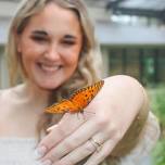 Butterfly Releases