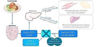 Image result for Linagliptin