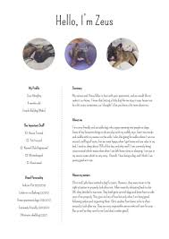 Pet Resume Template For Someone Looking To Rent An Apartment With A Pet A Pet Resume Is A Great Way To Introduce Your Pet To Your La Little Dogs Pets Dog