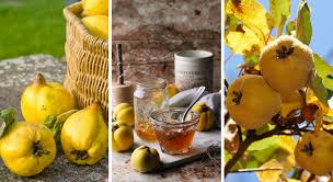 Epingle Sur Confiture