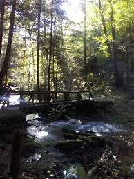 Help protect yourself and other visitors by storing all food and trash in a hard top vehicle when you leave to enjoy other. Koomer Ridge Campground Slade Kentucky Us Parkadvisor