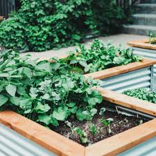 Find the limitless ways to build a garden, and one of the best is a cinder block raised bed. 15 Raised Bed Garden Design Ideas