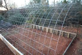 Building A Cattle Panel Pallet Greenhouse Peak Prosperity Pallet Greenhouse Outdoor Greenhouse Cattle Panels