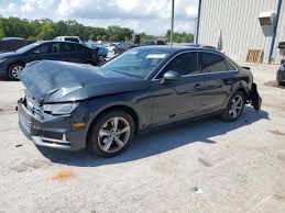 Image result for Argus Brown 2019 A4