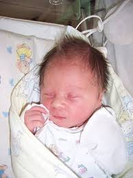 Fotogalerie: Miminka 51. týdne