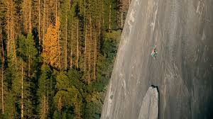 National geographic, itinerant media, macdonald/parkes productions, little monster films, image nation, parkes+macdonald image free solo 2018 hd. Alex Honnold