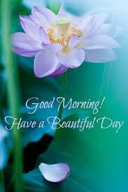 These good morning quotes and good morning images give you the motivation to welcome the beauty of a brand new day! 190 It S A Brand New Day Ideas Brand New Day Good Morning Good Night Good Morning Greetings