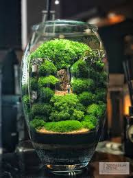 Pin By Bill Sjostedt On Terrarium Scene Terrarium Scene Terrarium Mini Garden