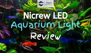 Nicrew led aquarium light, fish tank light with extendable brackets. Nicrew Classicled Aquarium Light Review Aqua Movement