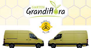 Wildblumenwiese Bienenmobil Gewinnspiel 2019 Garten Und Landschaftsbau Garten Grandiflora