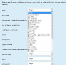 Sugerencias Para Crear Preguntas Para Examen Moodledocs