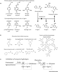 This method usually utilizes mild pressure and/or temperature and does not involve acid, alkali. Lignin Enzyme Interactions In The Hydrolysis Of Lignocellulosic Biomass Trends In Biotechnology