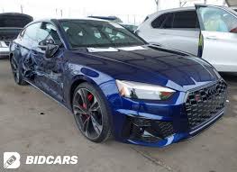 Image result for Navarra Blue 2025 S5