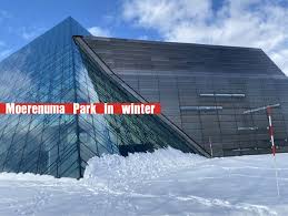 kisa illustration & design