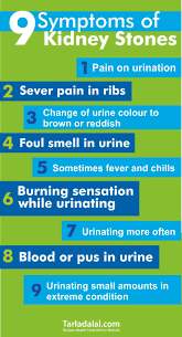 Indian Veg Kidney Stone Healthy Recipes Diet Symptoms Causes Kidney Recipes Kidney Stone Diet Diet Recipes Flat Belly