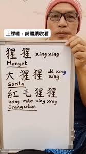 雞同鴨講的印尼文是什麼呢？