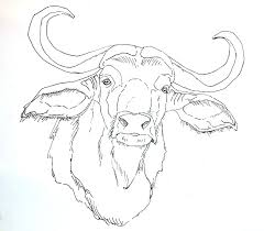 Italian Water Buffalo Buffalo Painting Animal Drawings Buffalo Art